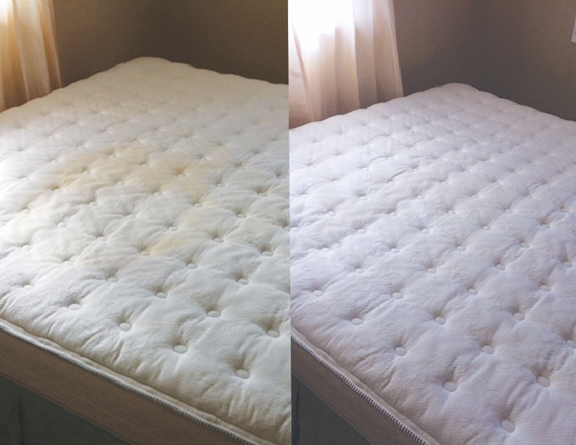 removing urine from a memory foam mattress